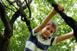 Ein Junge klettert auf einem Baum herum. Was Eltern Sinnvolles gegen die Computersucht ihrer Kinder tun können. www.gesundheitsjournalistin.ch 