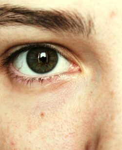 Menschliches Auge: Es benötigt bestimmte Vitalstoffe, um gesund zu bleiben. Ernährung für gesunde Augen. 